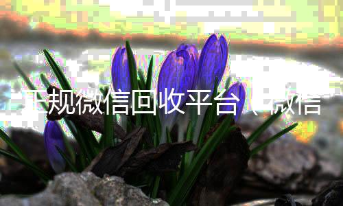 正规微信回收24小时收vx秒结平台（微信回收正规官网）